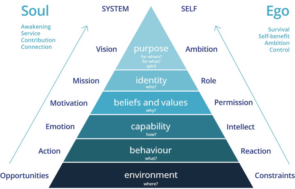 Extended Logical Levels Model